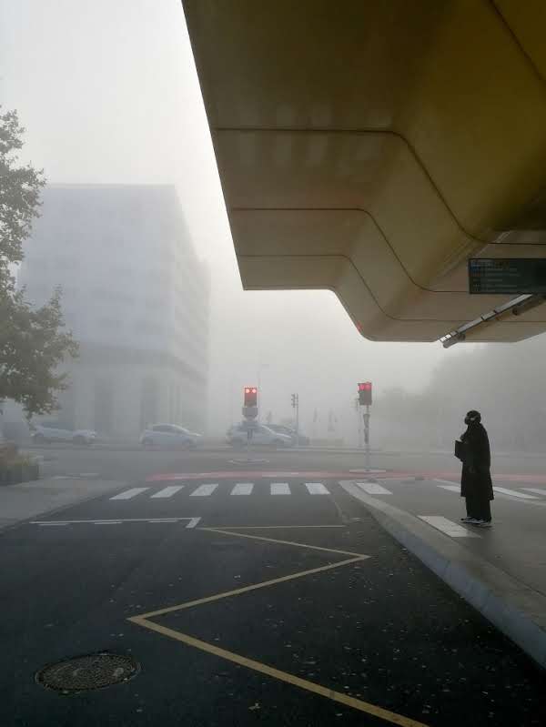 Photo de Catherine Croix de la série Saint-Nazaire Haunted : une silhouette sous un abri et feux rouges urbains émergeant d'un épais brouillard